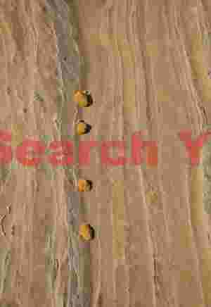 Sandstone lace and pebbles - White Pocket - Arizona