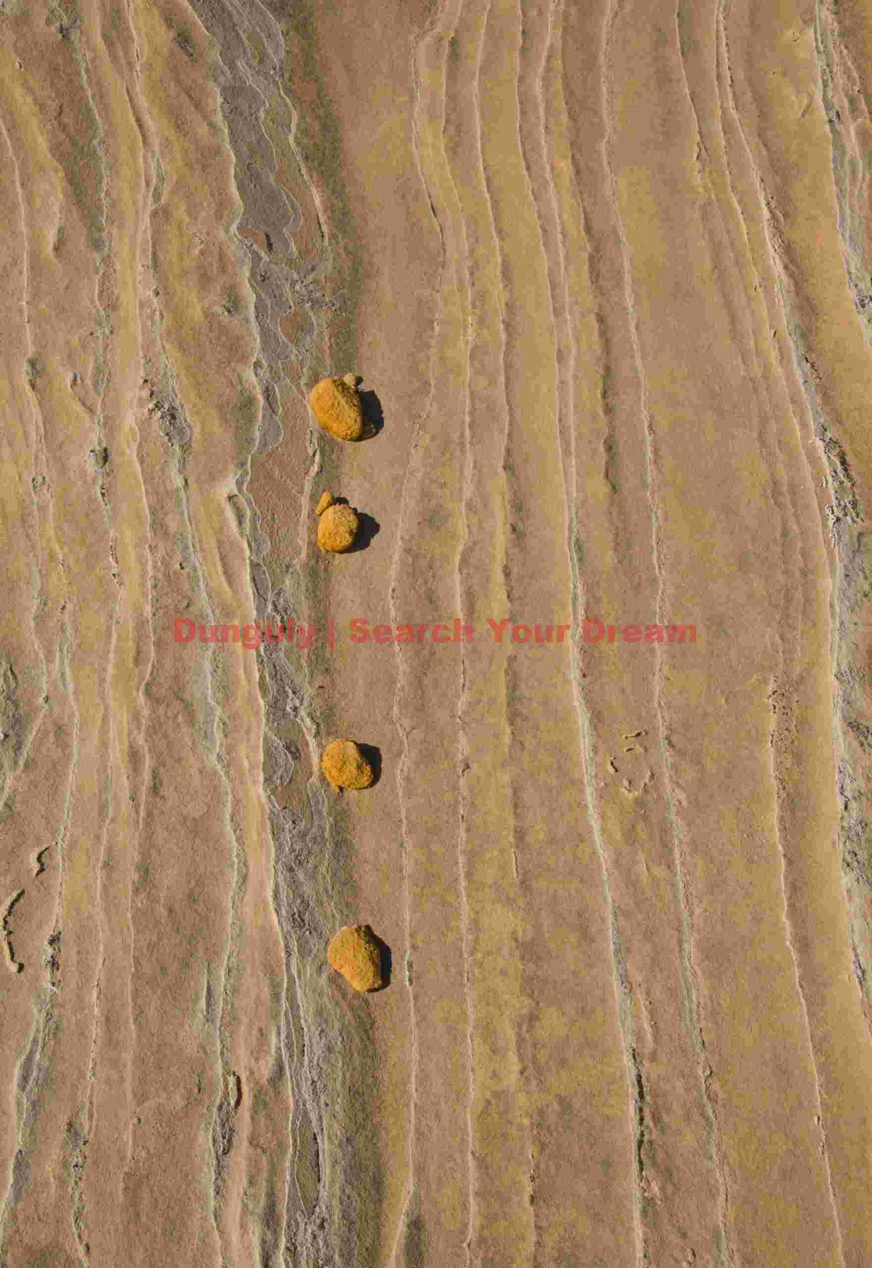 Sandstone lace and pebbles - White Pocket - Arizona