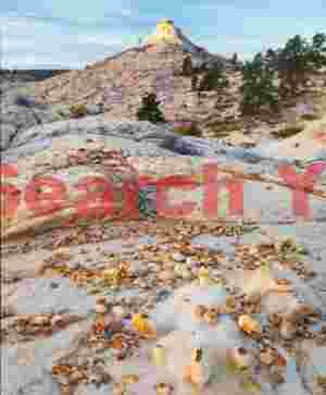 Mystery Spheres of the Desert