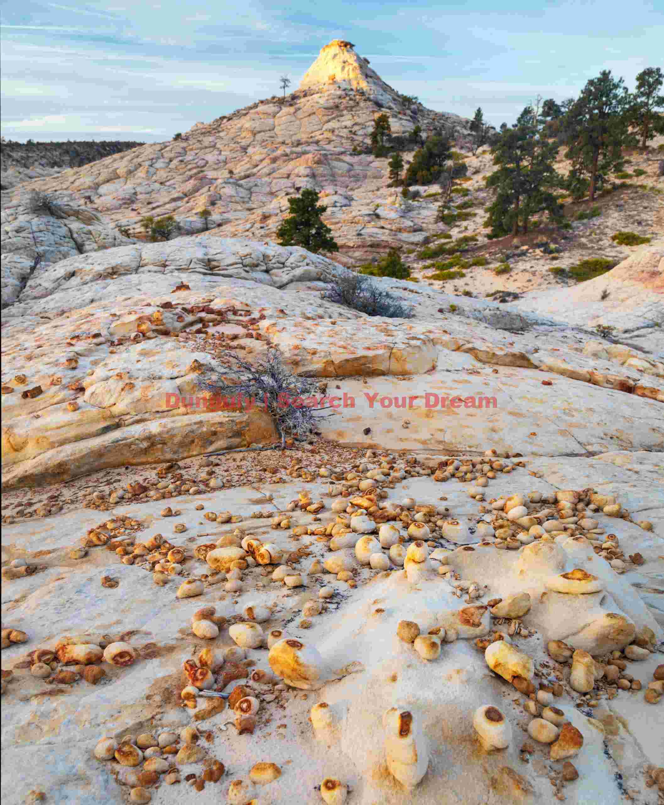 Mystery Spheres of the Desert