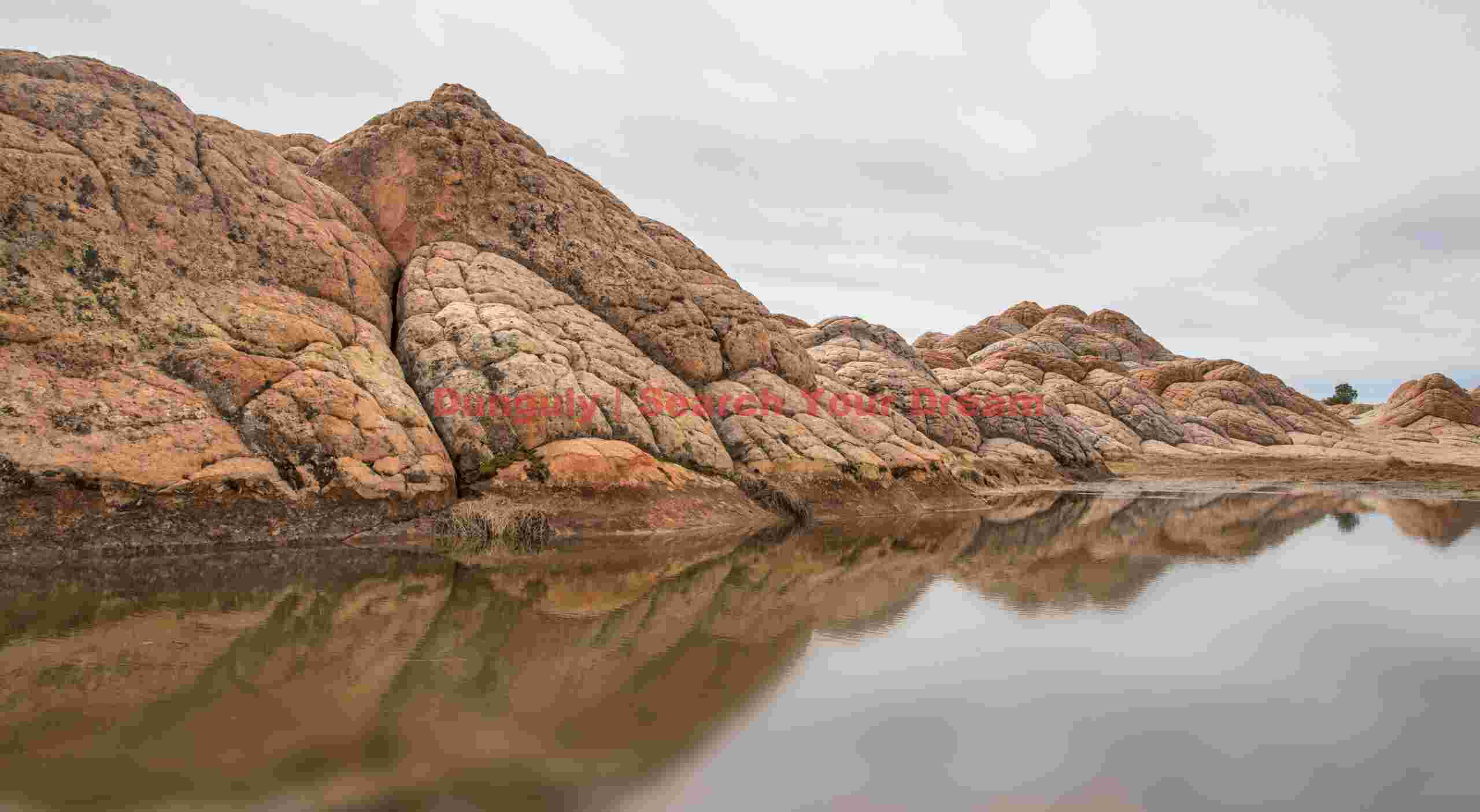 Mirror of the Desert