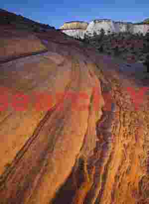 Sandstone swirls with flashlight fill, Zion Natl. Park, Utah