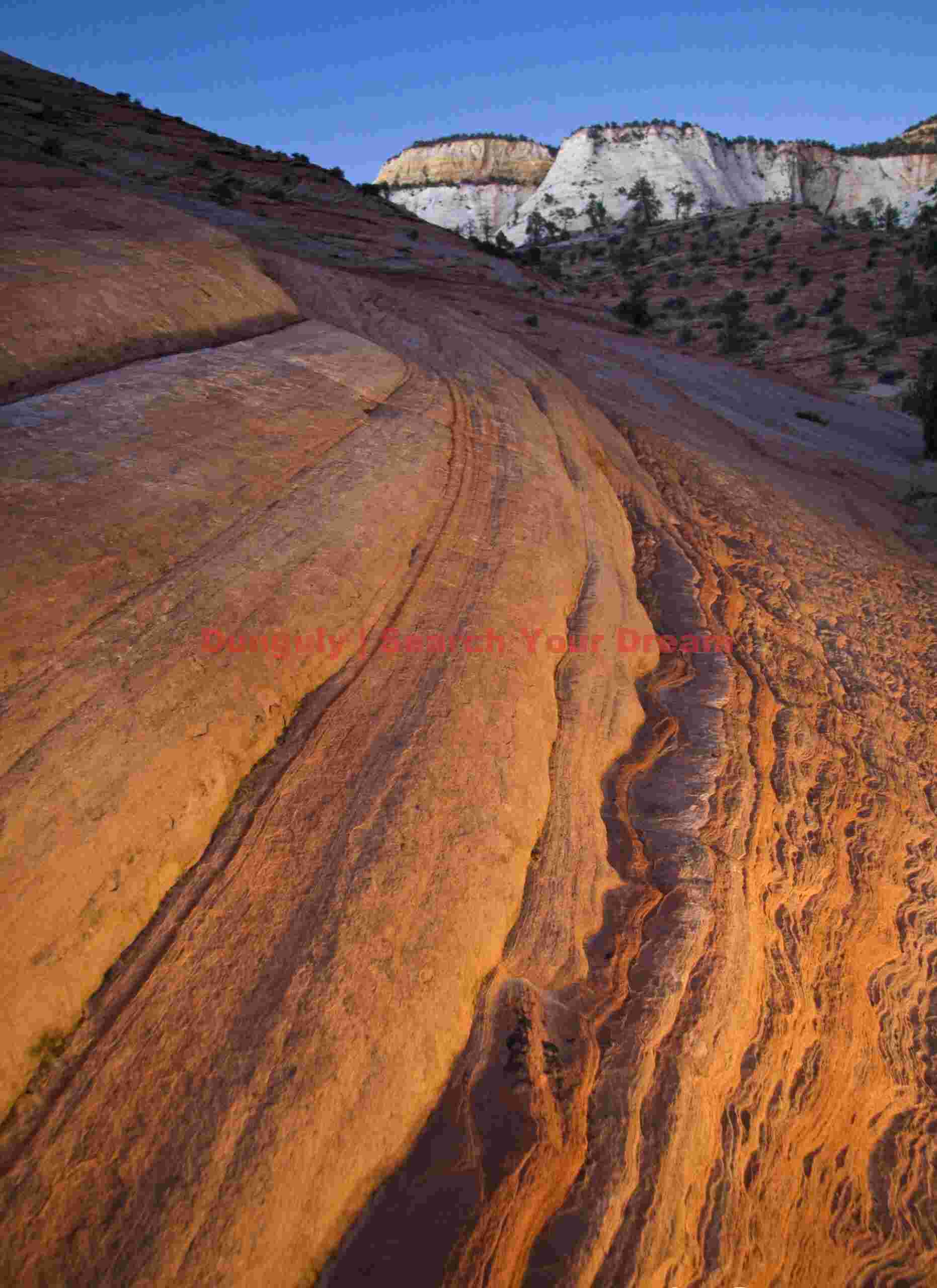 Sandstone swirls with flashlight fill, Zion Natl. Park, Utah