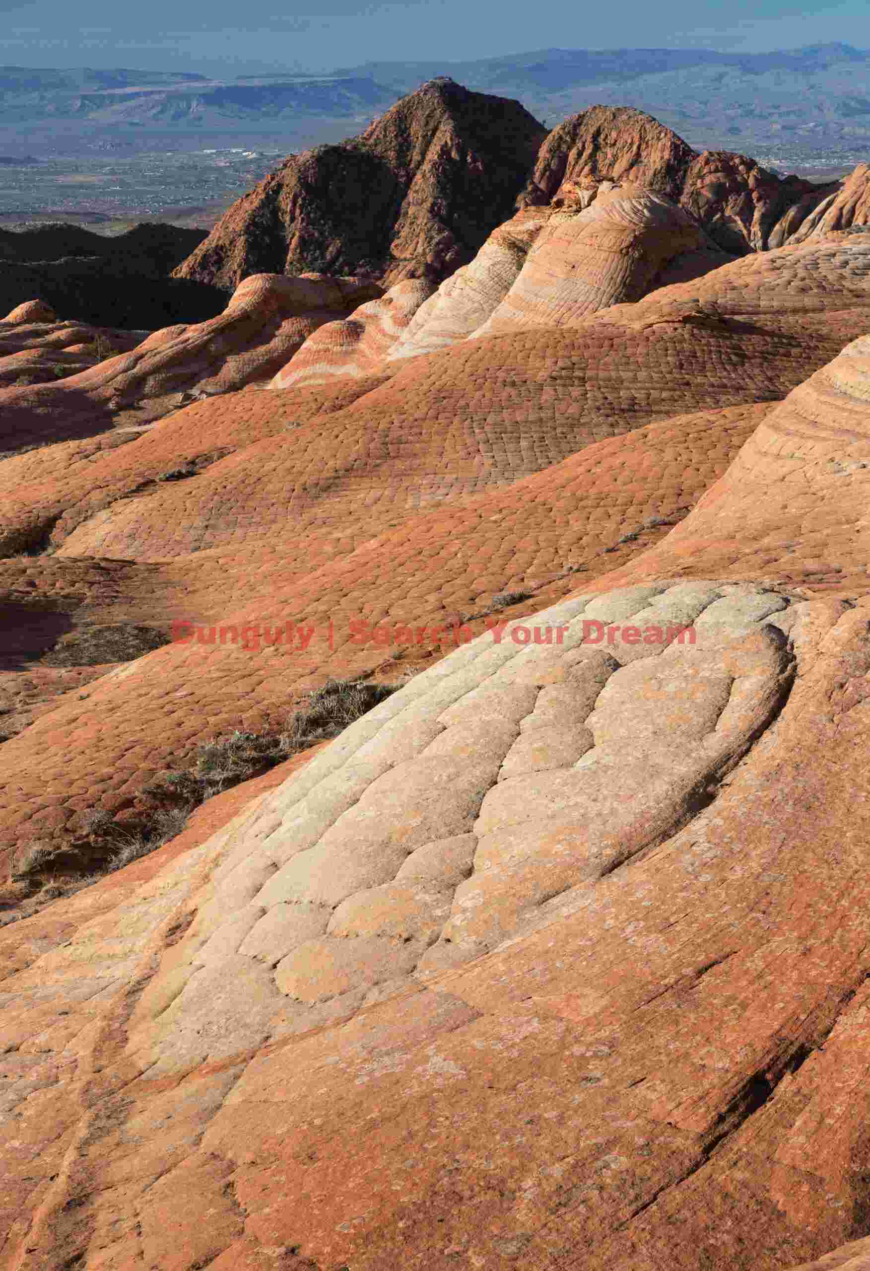 Sandstone whorl - Yant Flat - Utah