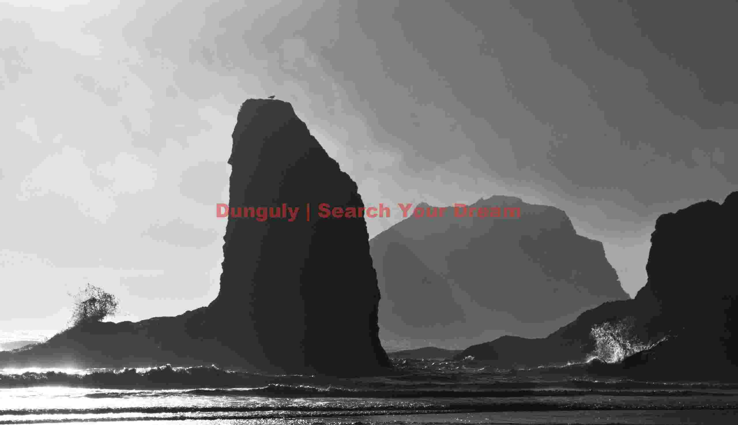 Monochrome Stone Study