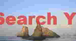 Mist-Veiled Formations