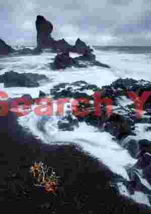Seaweed and surf on black; Djupalonsandur