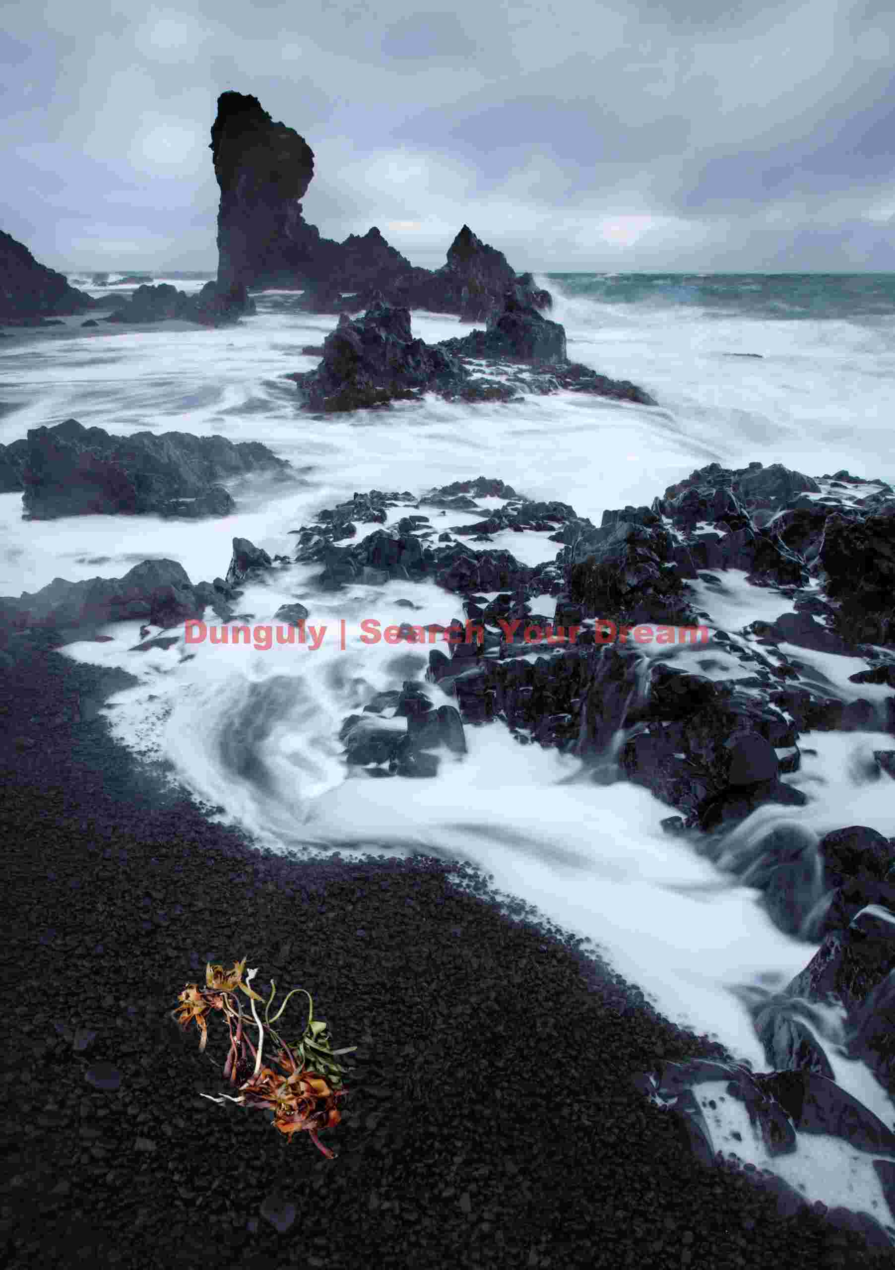 Seaweed and surf on black; Djupalonsandur