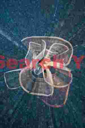 Seaweed zoom abstract; Djupalonsandur