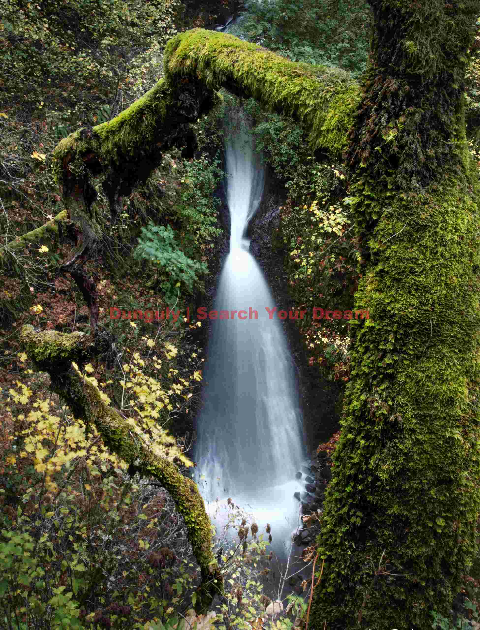 Shepherd's Dell, Columbia River Gorge, Oregon