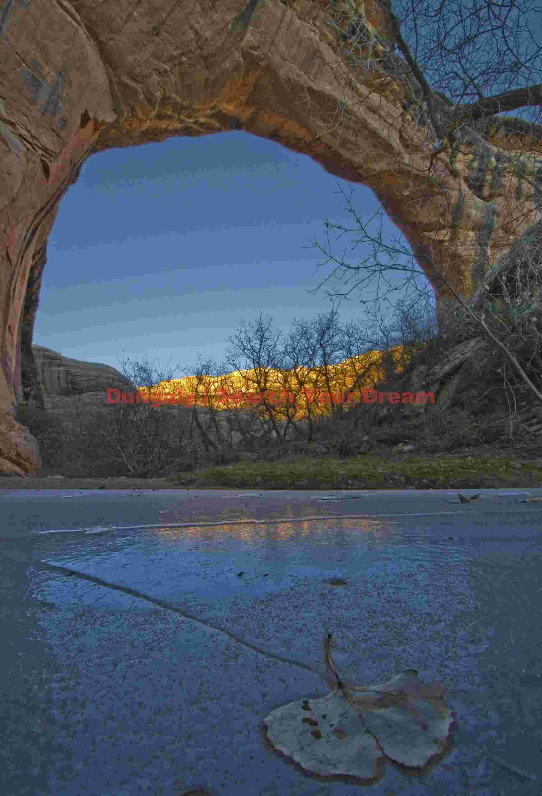 Sipapu Bridge with Ice Reflections and Fallen Leaf