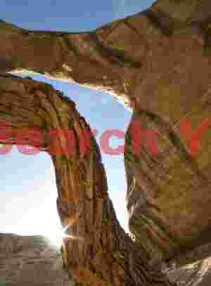 Sipapu Bridge with Tree Trunk Composition