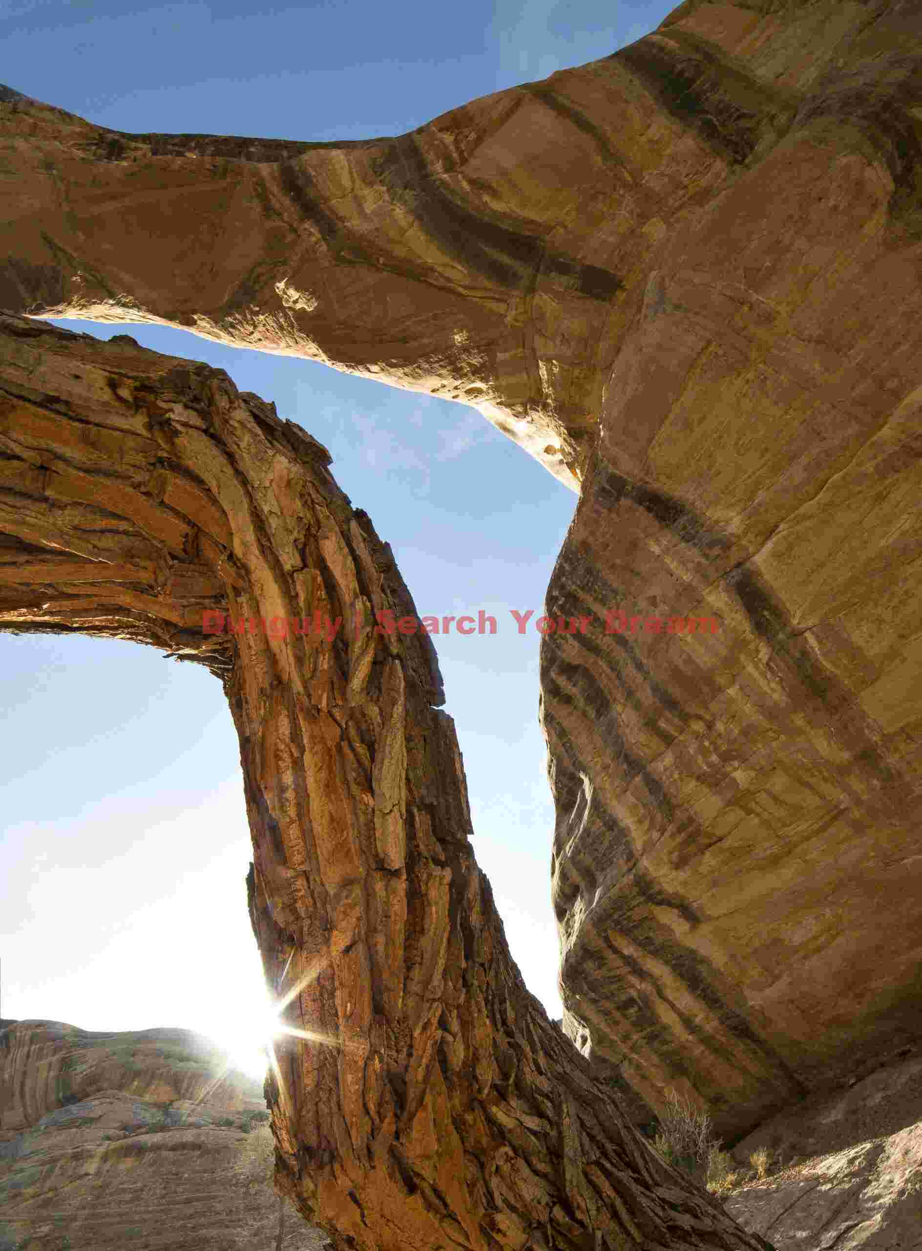 Sipapu Bridge with Tree Trunk Composition