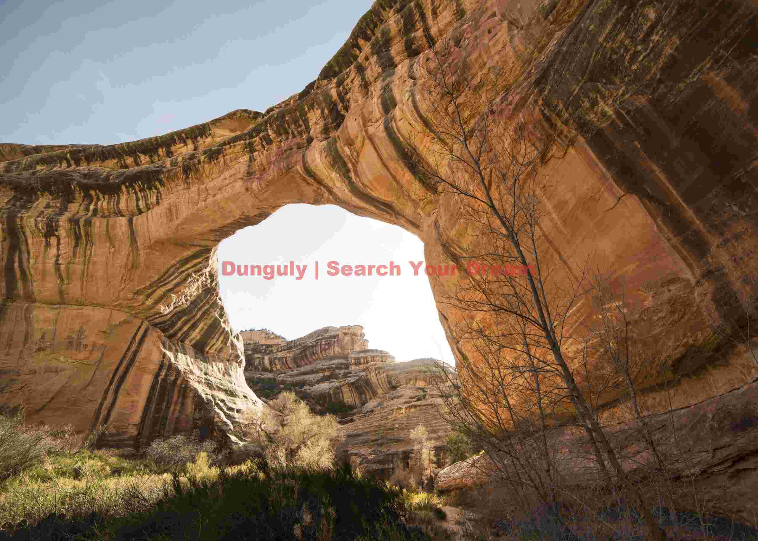 Sipapu Bridge Backlit with Tree - Dramatic Lighting