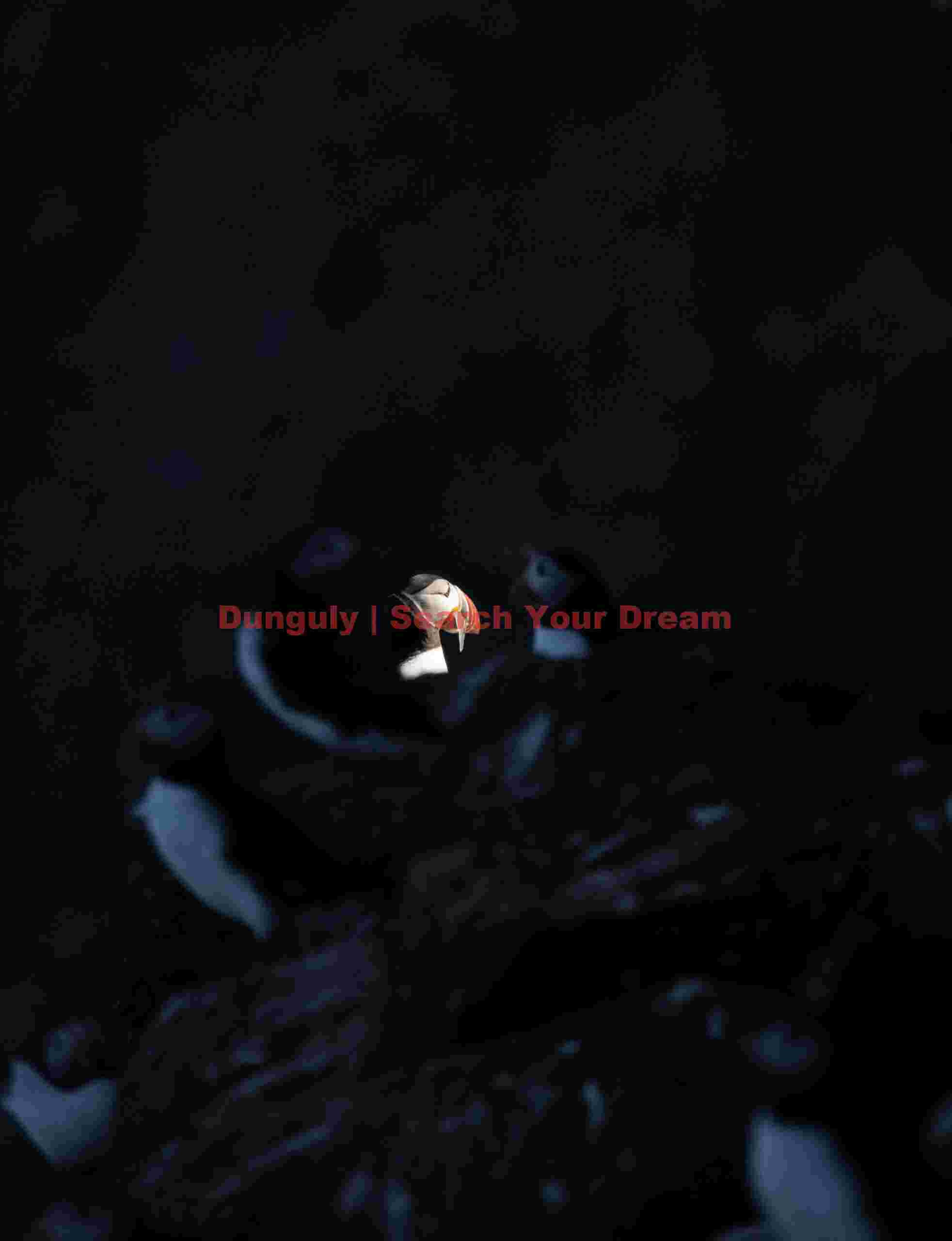 Spotlight On A Puffin With Sand Eels