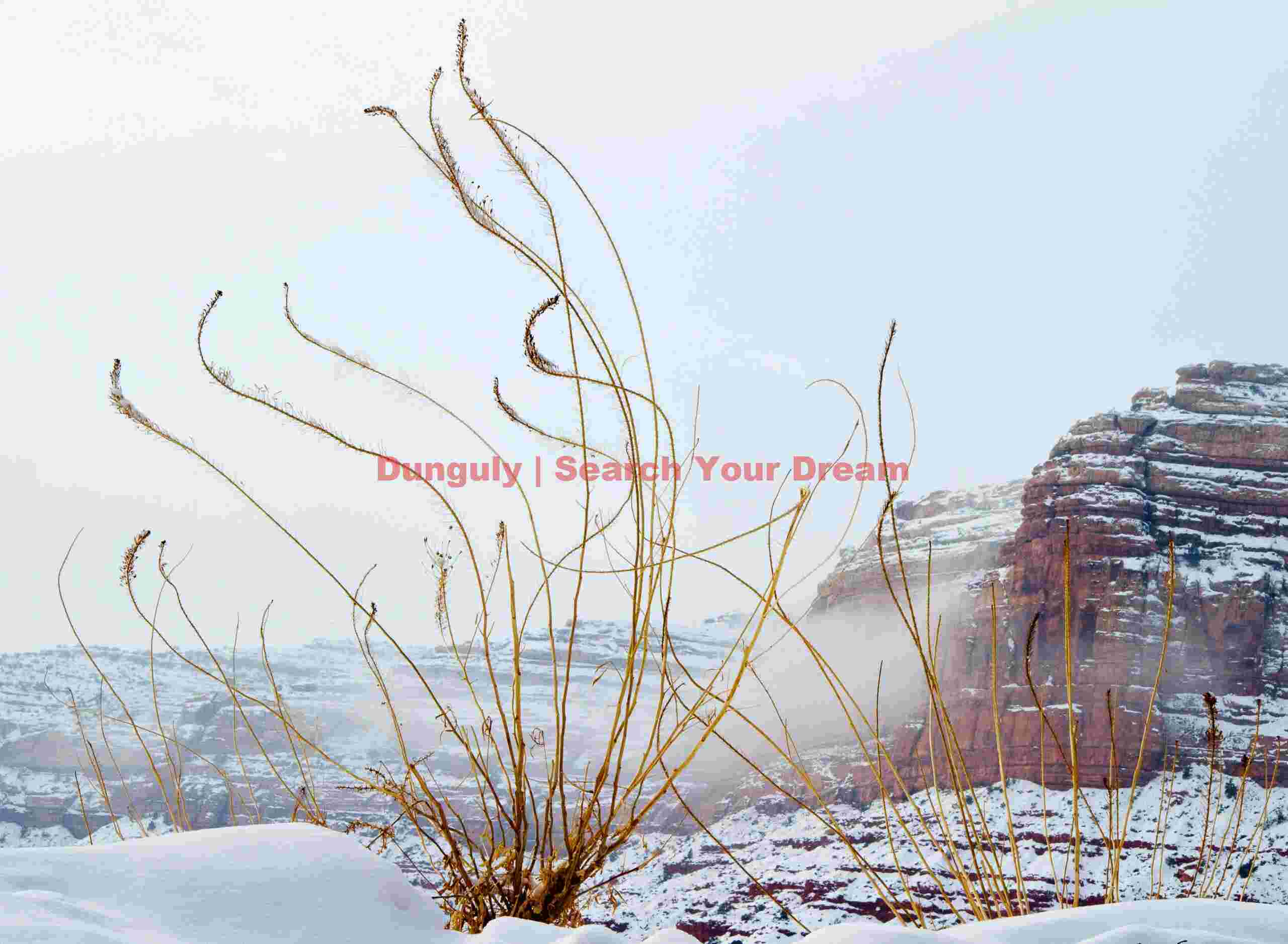 Squiggles! Moki Dugway