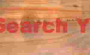 Desert Fingerprints Part I