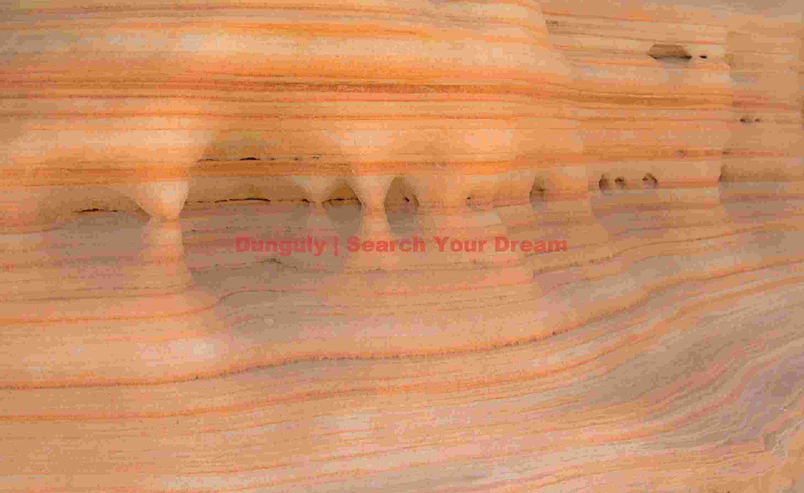 Desert Fingerprints Part I