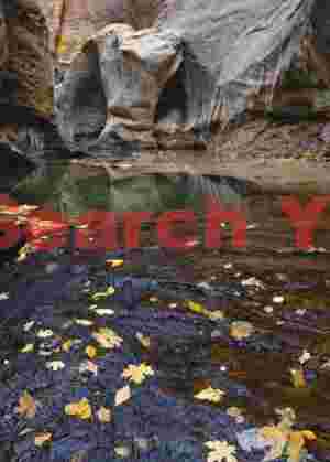 Autumn in the Subway - Fall Colors Underground