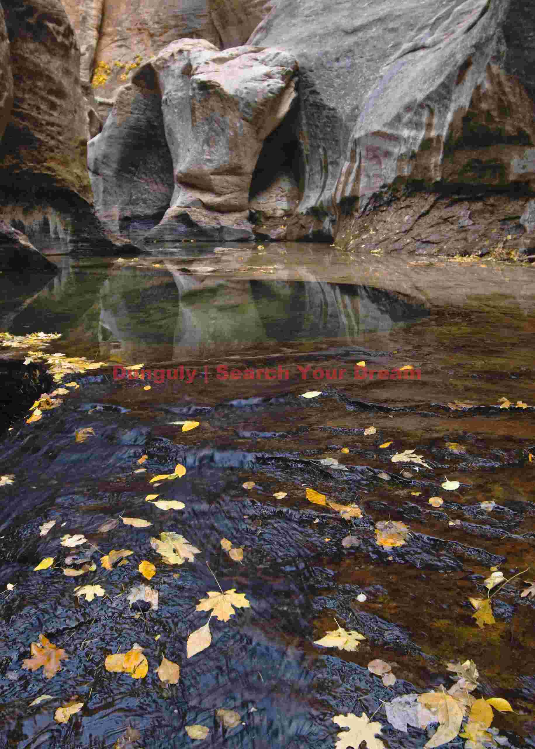 Autumn in the Subway - Fall Colors Underground