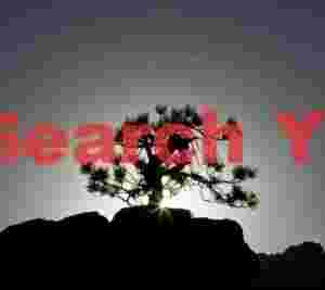 Sunbow around the bonsai tree; Zion National Park