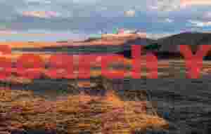 Glacial Ice Formation at Sunlit grasses lookingb toward Mýrdalsjökull glacier