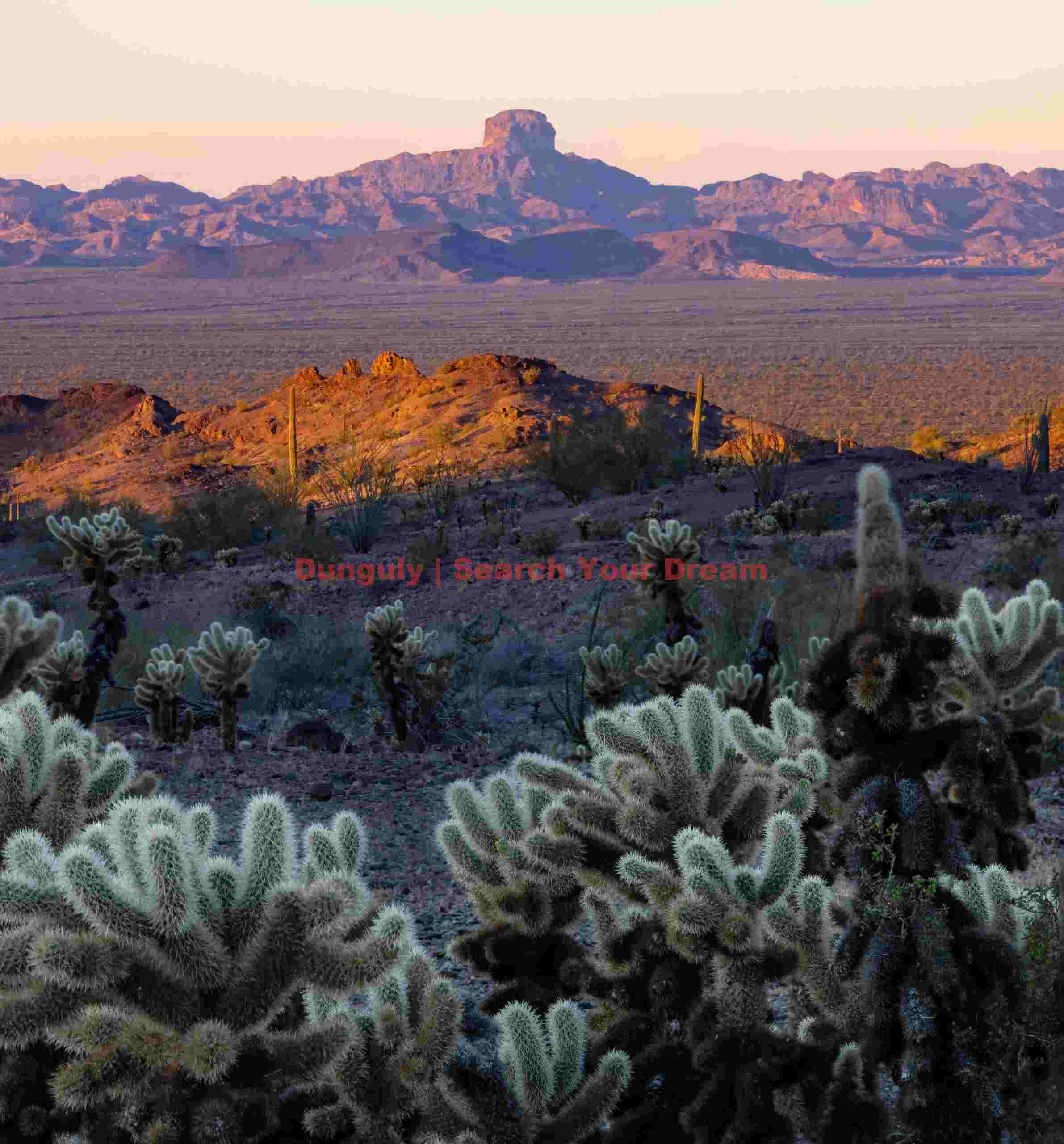 Desert Dawn Silhouettes