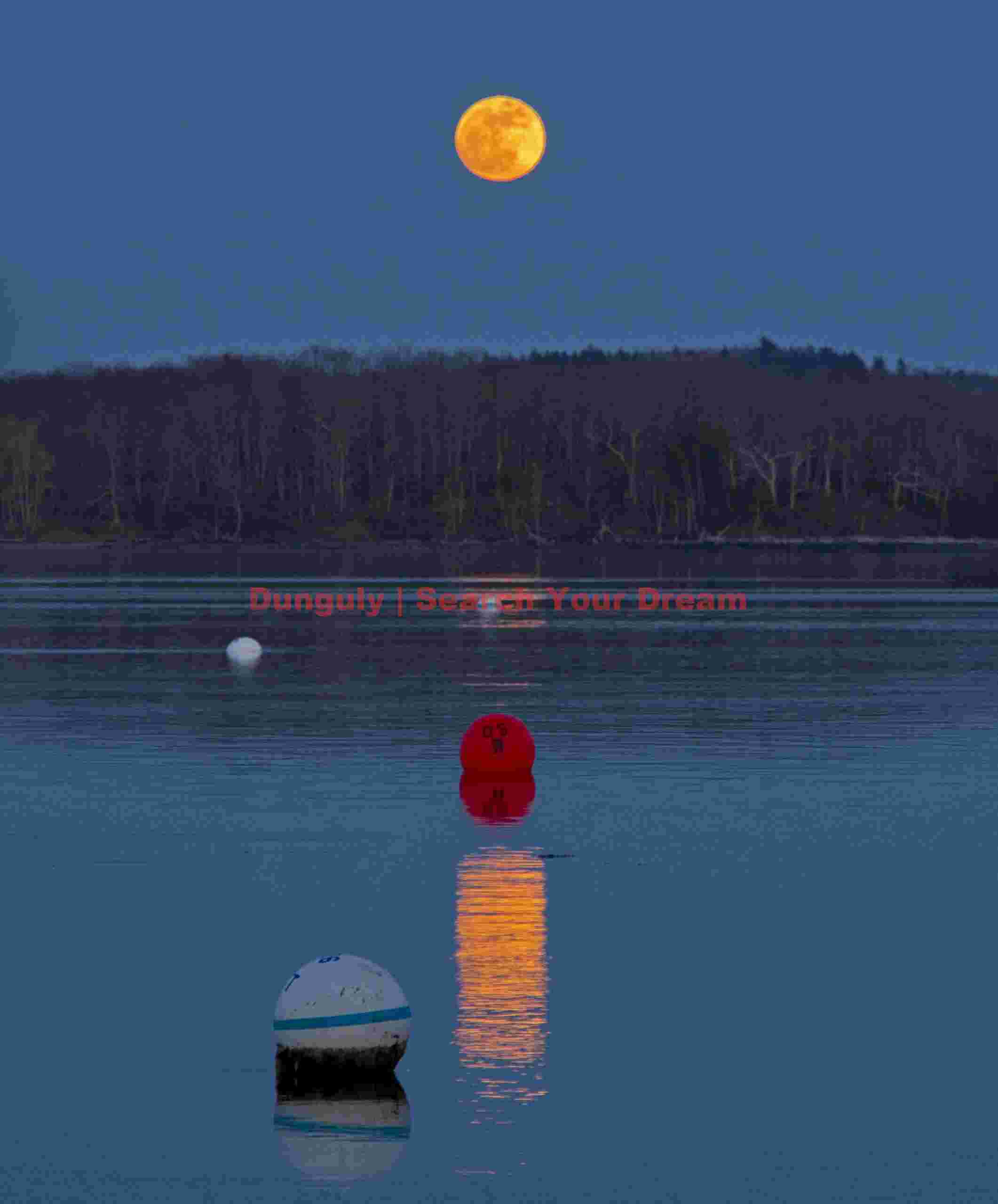 Supermoon Over Harbor