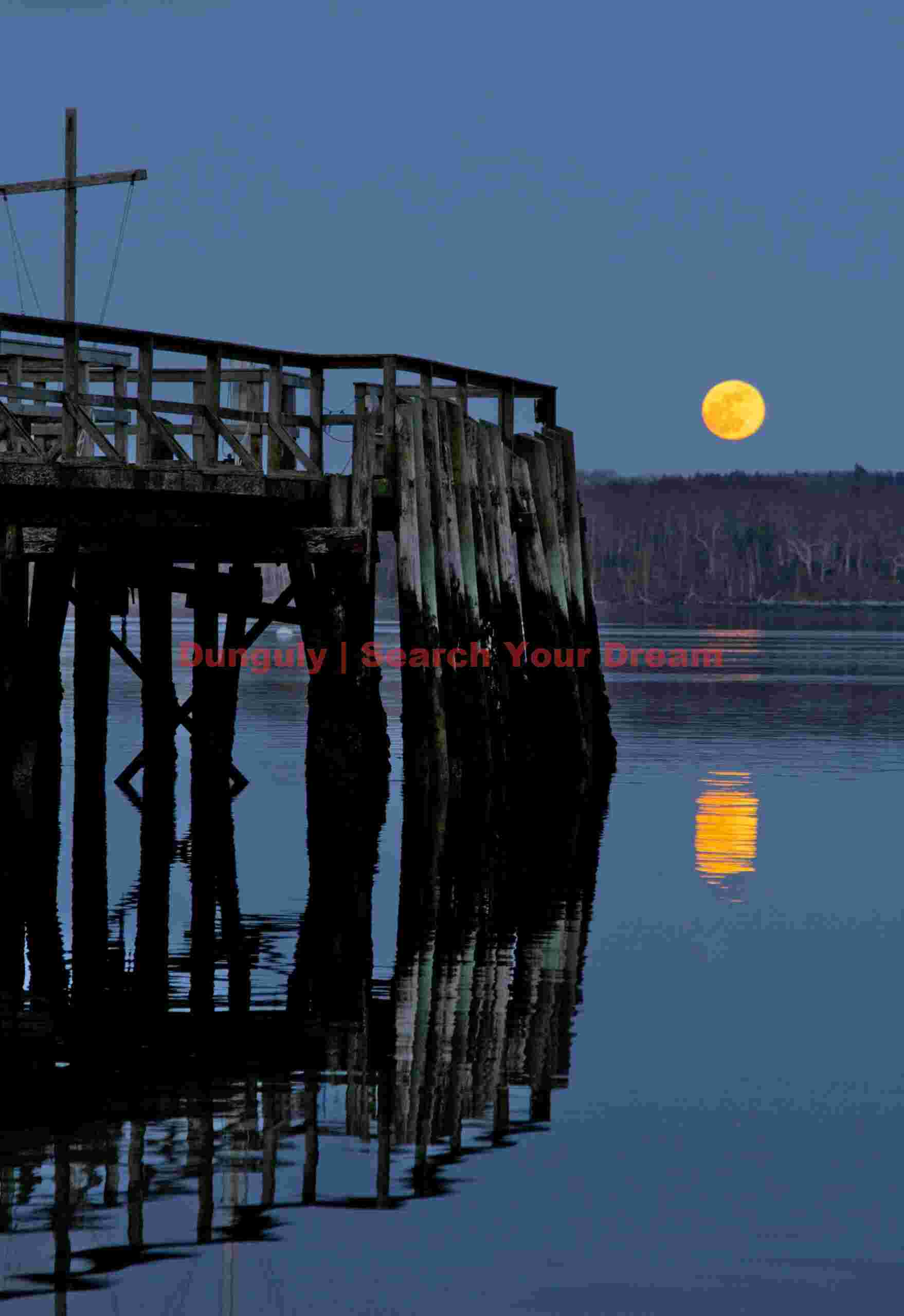 Moonlit Jetty