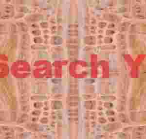 Swiss Cheese Rock Reflection at Parashant National Monument