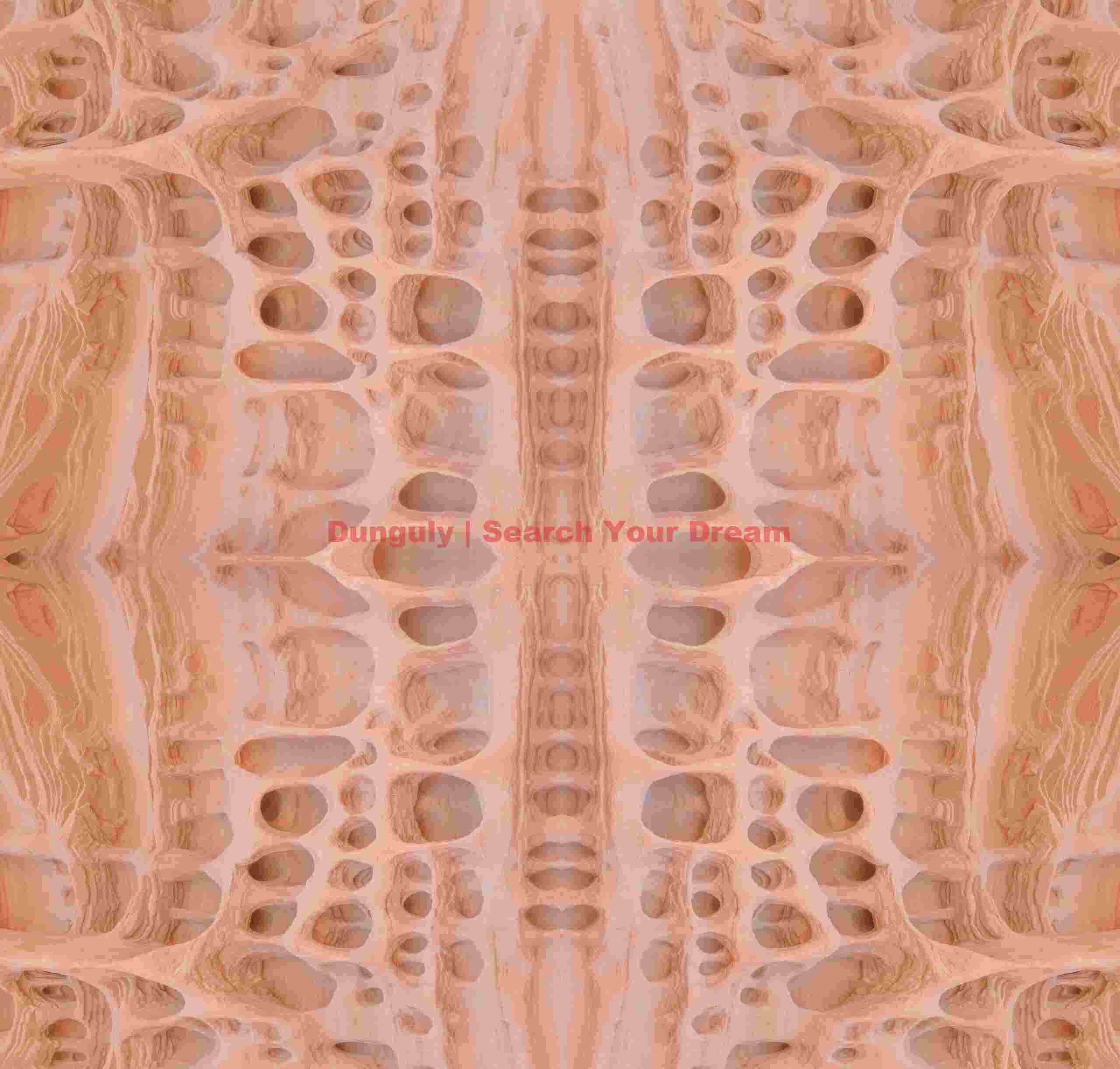 Swiss Cheese Rock Reflection at Parashant National Monument