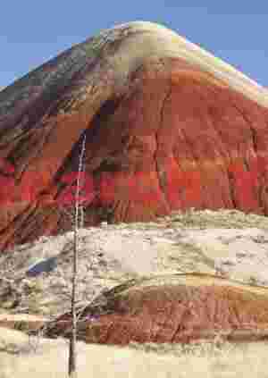 Crimson Sentinel Hill