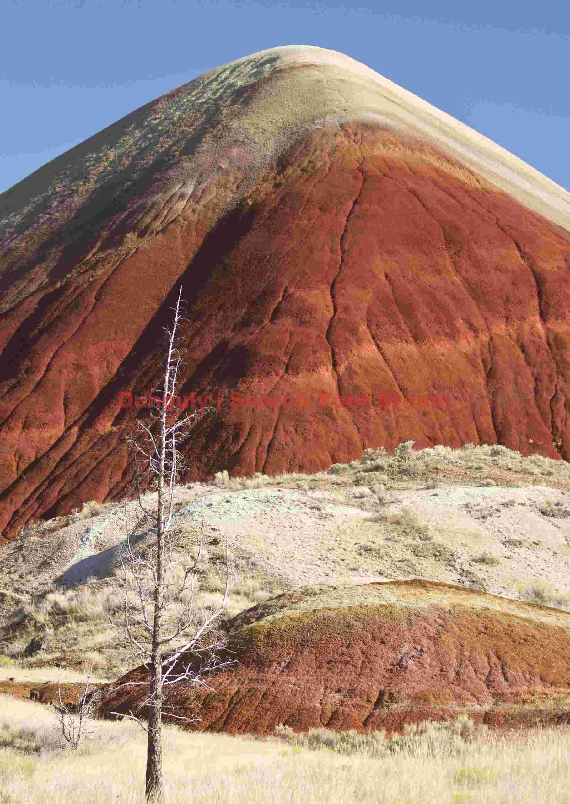 Crimson Sentinel Hill