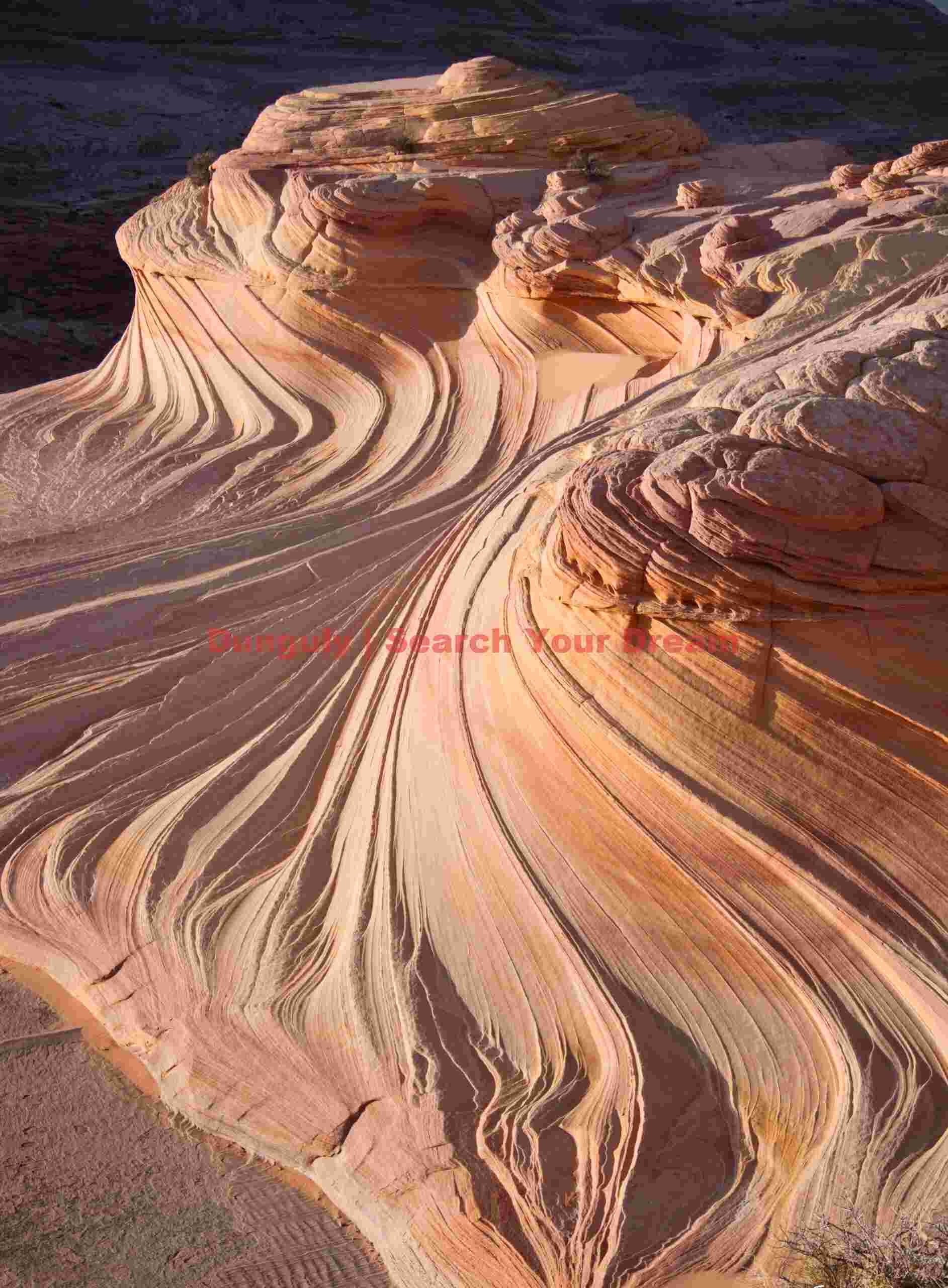 The Second Wave - vertical - North Coyote Buttes