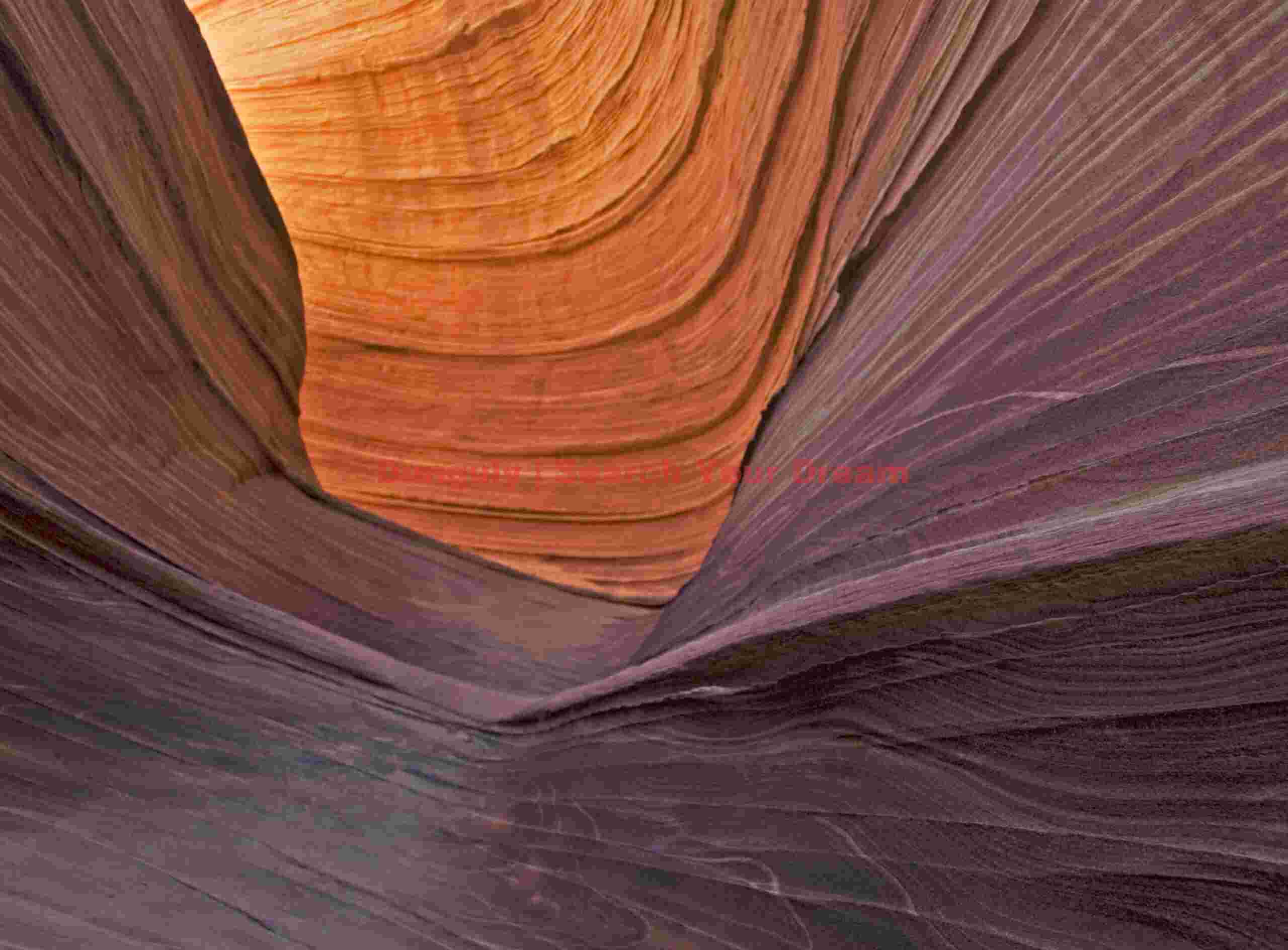 The Wave - Coyote Buttes - Golden Canyon