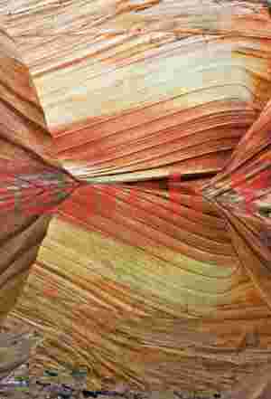 The Wave - Coyote Buttes - Reflections #1