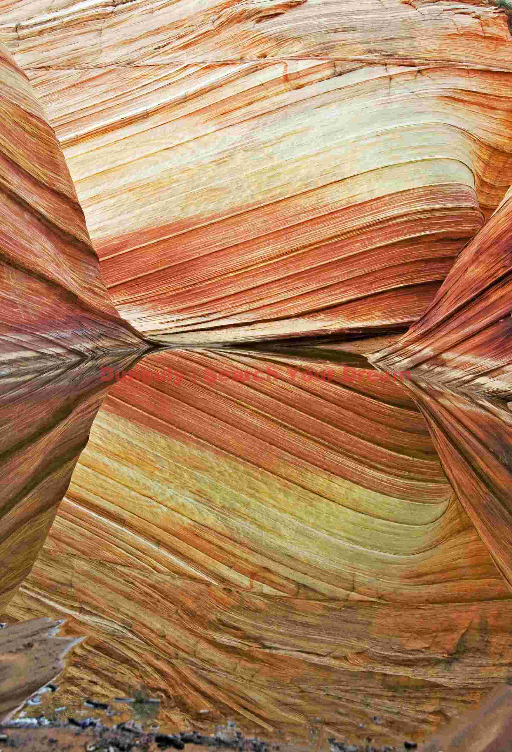 The Wave - Coyote Buttes - Reflections #1