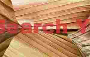 The Wave - Coyote Buttes - Reflections #2