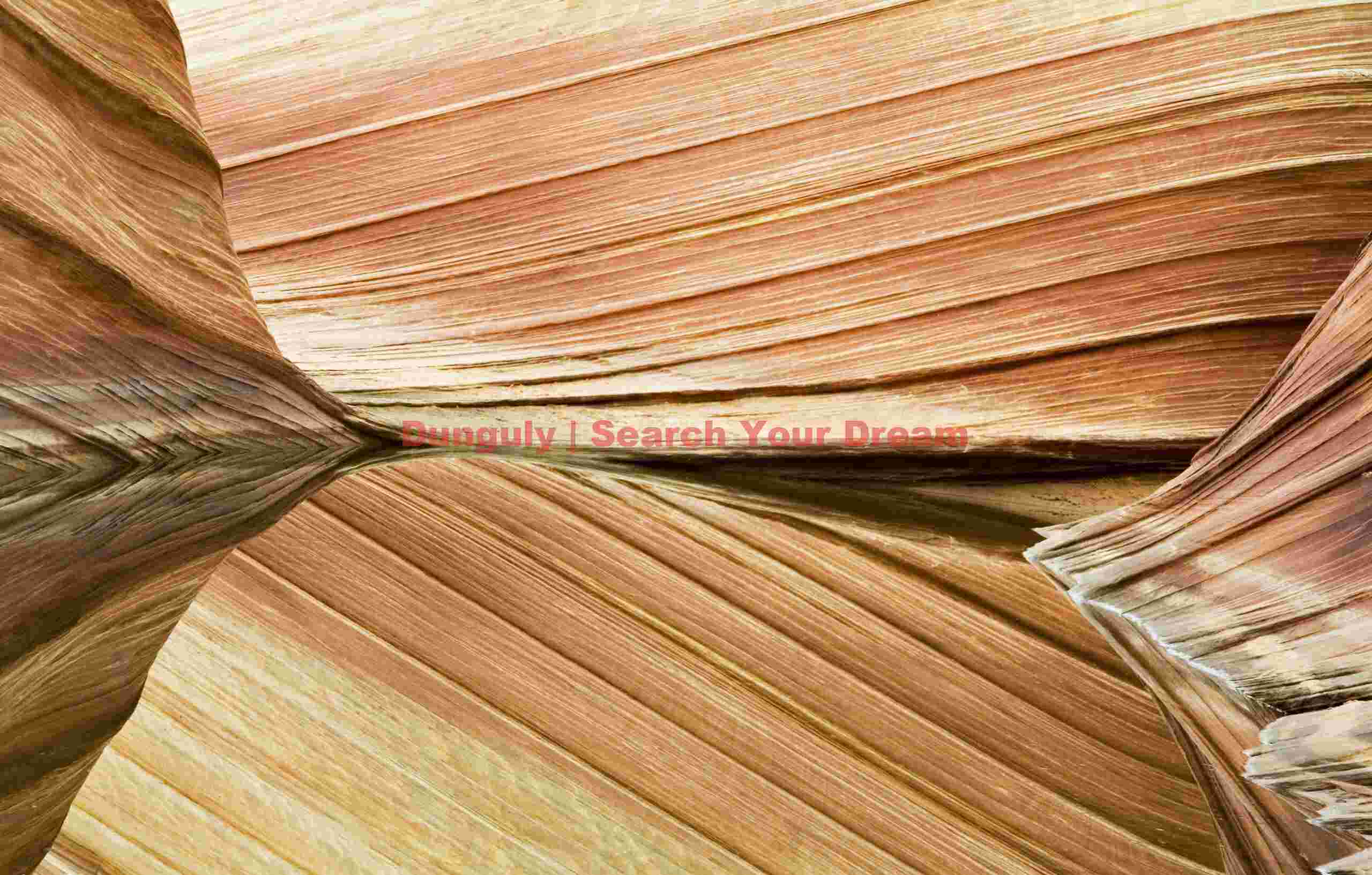 The Wave - Coyote Buttes - Reflections #2