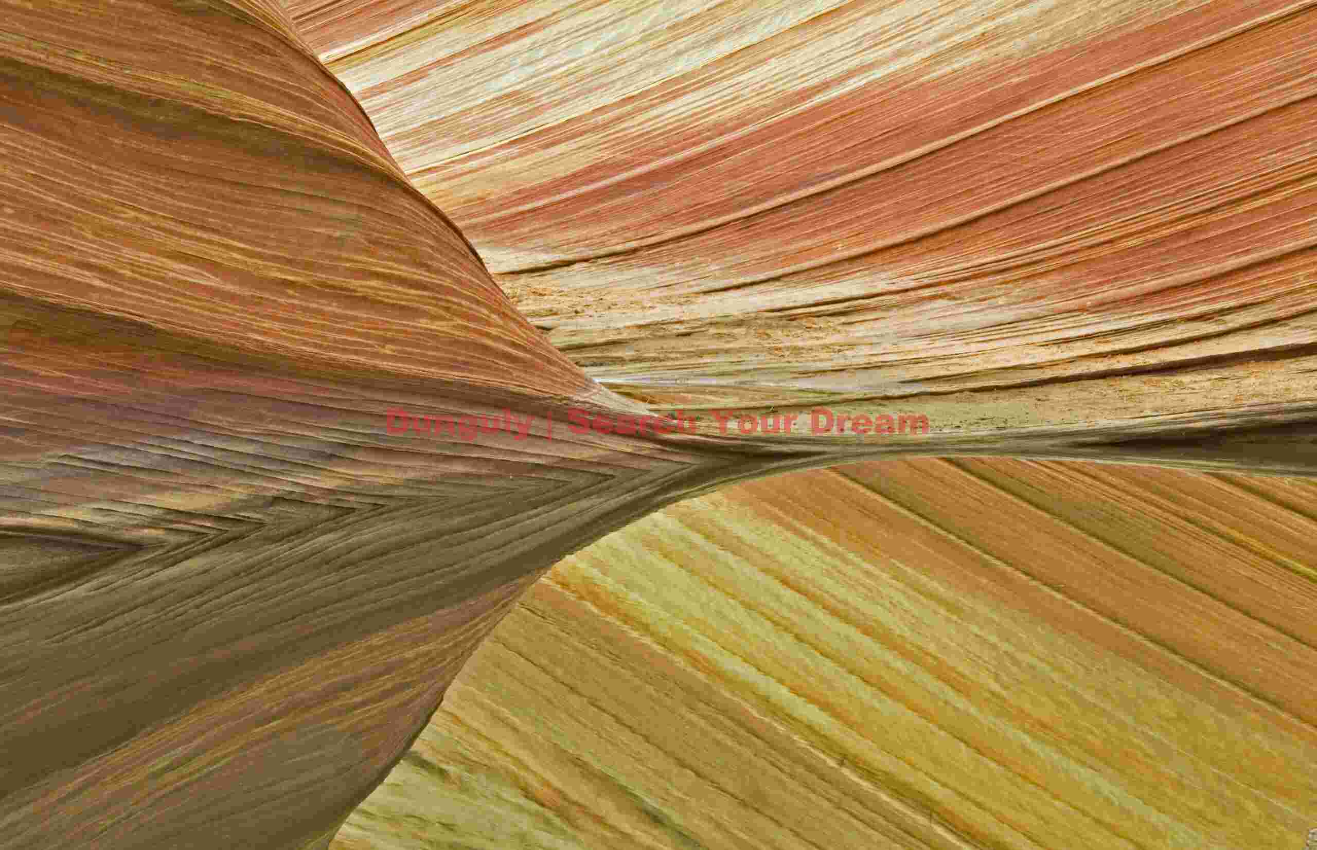 The Wave - Coyote Buttes Reflections #3