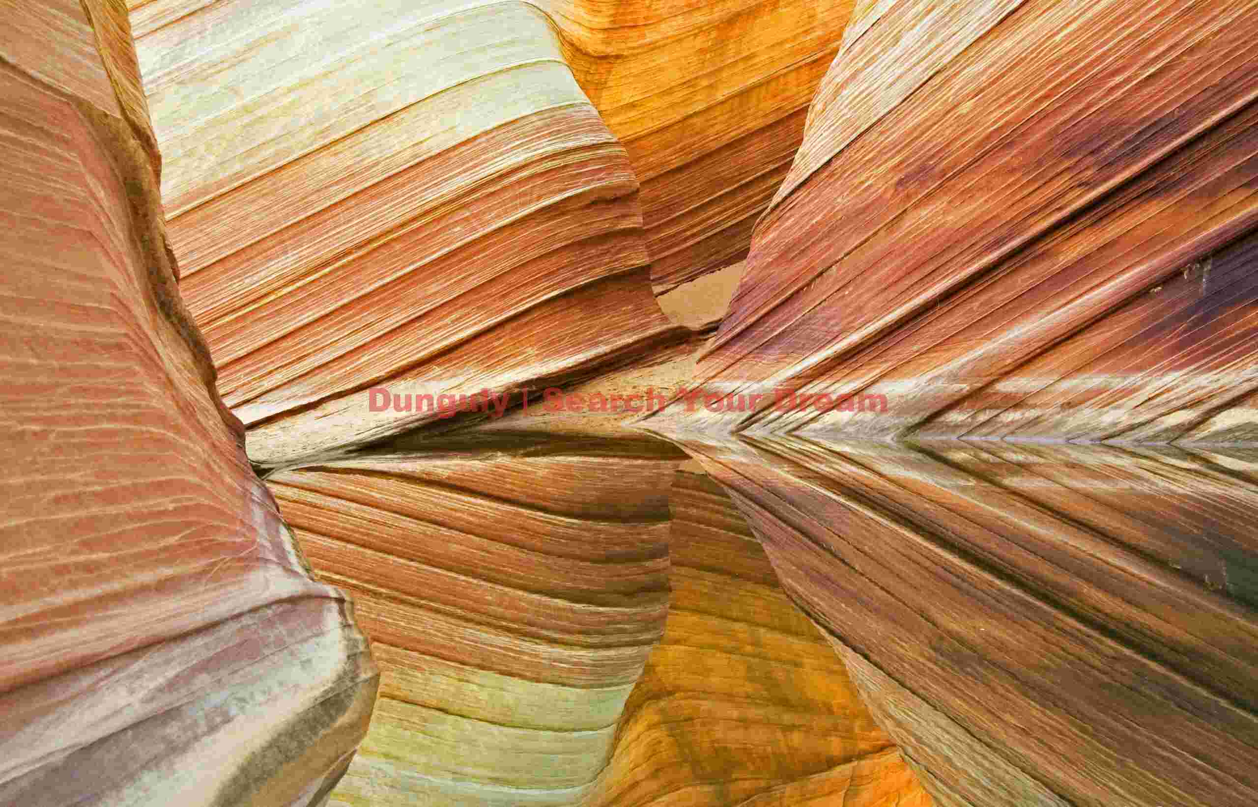 The Wave - Coyote Buttes - Reflections #4