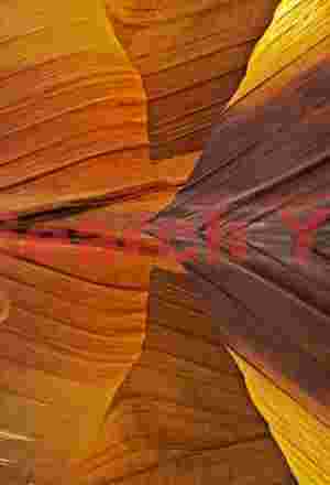 The Wave - Coyote Buttes - Reflections #5