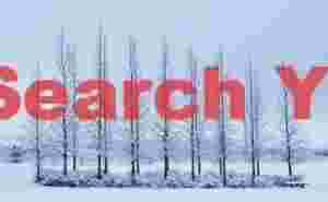 Glacial Ice Formation at Trees by Geysir