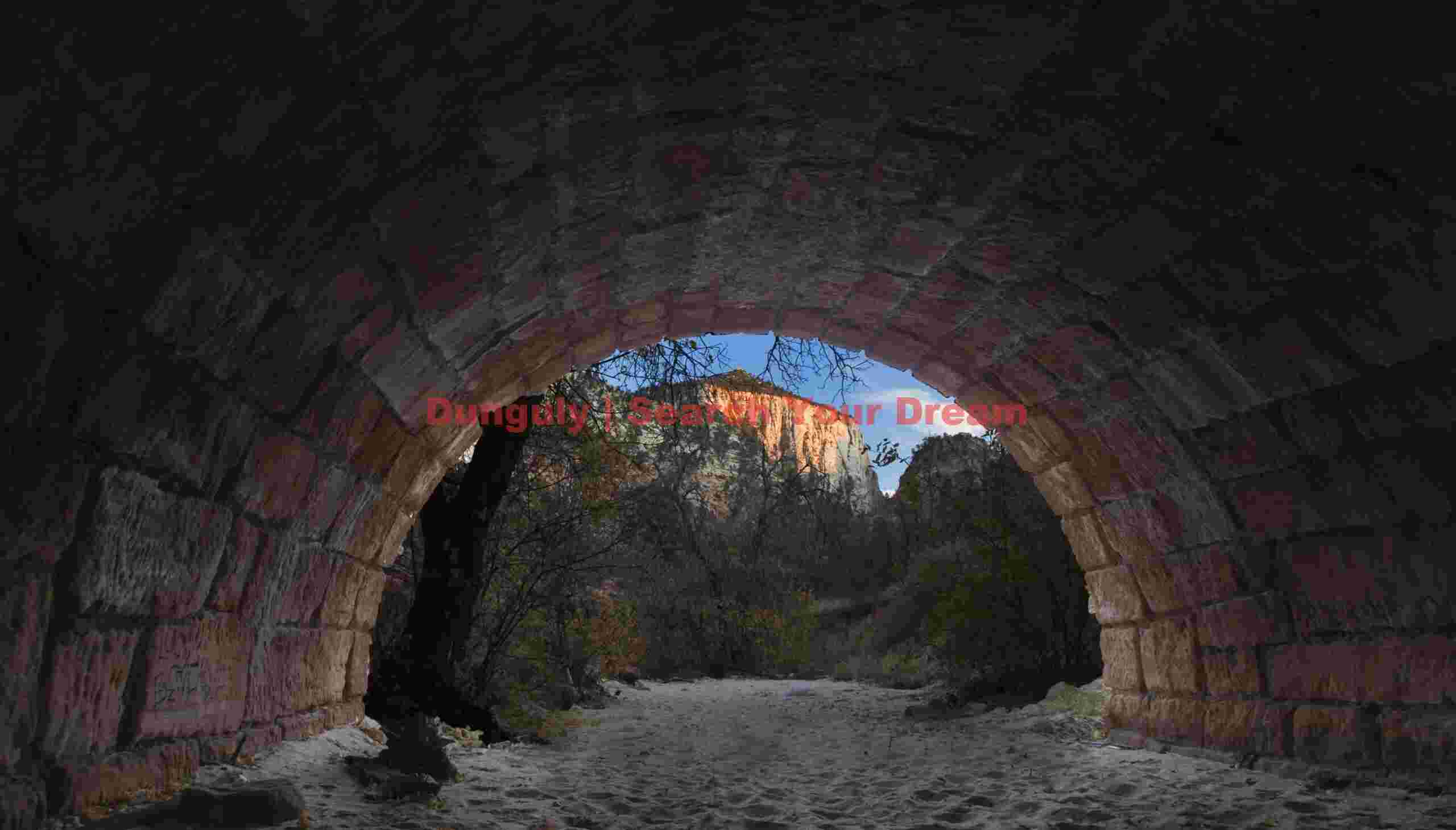 Tunnel vision, Zion mesa