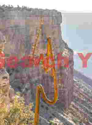 Twisted Yucca Stalk at Parashant National Monument