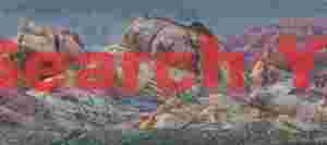 View from Rainbow Point - Valley of Fire