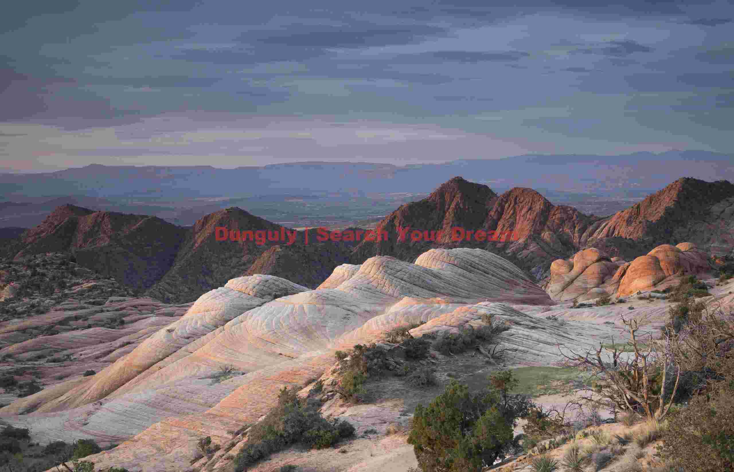 View over Yant Flat sandstone domes before sunrise