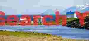 Village Pond With Terns
