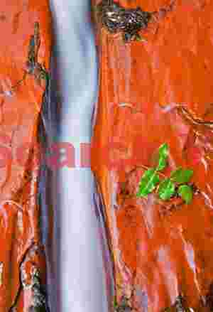 Spring Awakening - Waterchute with Fresh Leaves