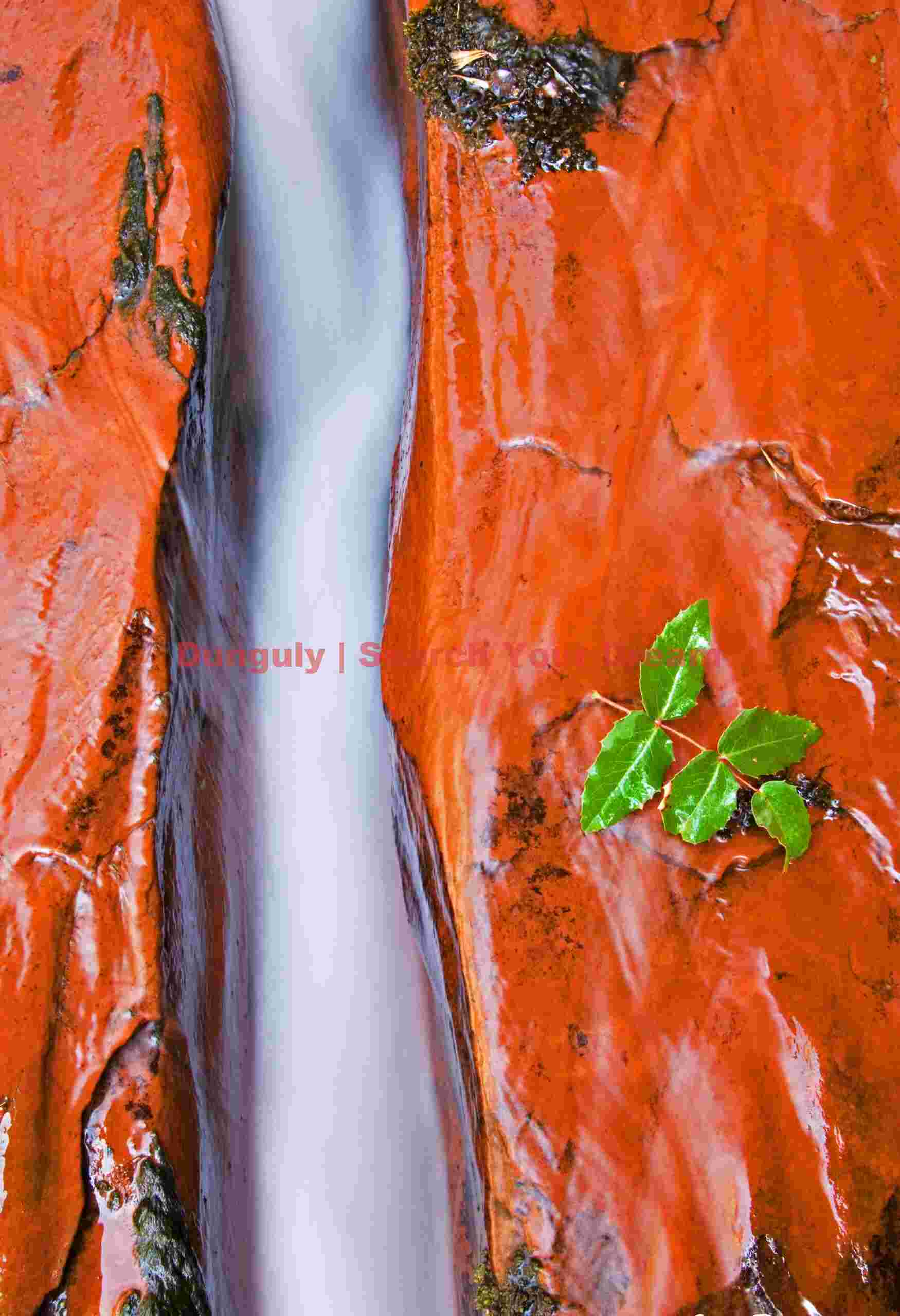 Spring Awakening - Waterchute with Fresh Leaves